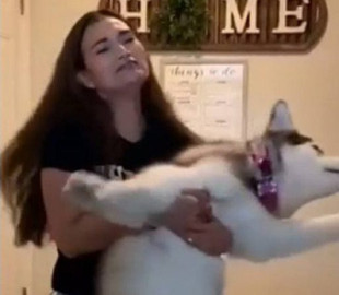 Ненавидящий купание хаски заставил смеяться интернет