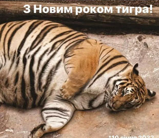 Новогоднюю ночь не помню: появились яркие фотожабы про встречу 2022 года