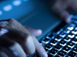 Новый тренд: программисты переезжают из Кремниевой долины в Канаду