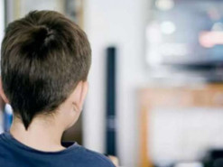 Директор львовской школы запретил ученикам смотреть онлайн-уроки по телевизору