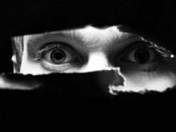 МВД Германии одобрило запуск государственной шпионской программы