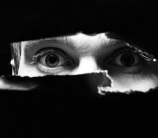 МВД Германии одобрило запуск государственной шпионской программы