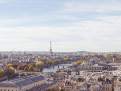 Нові правила для українців у Франції: що потрібно знати