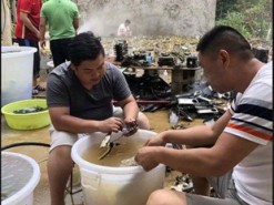 Китайские майнеры пострадали от наводнений