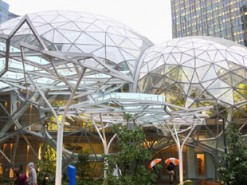 Amazon открыла "тропический" офис за $4 млрд