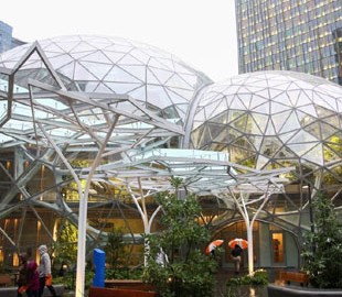 Amazon открыла "тропический" офис за $4 млрд