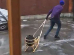 Як ви доїхали на роботу? Німецькі дипломати зняли жартівливий ролик про ожеледицю в Києві