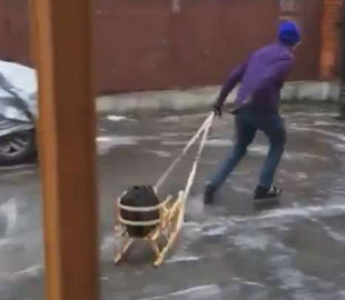 Як ви доїхали на роботу? Німецькі дипломати зняли жартівливий ролик про ожеледицю в Києві