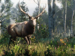 Британские преподаватели рассказали о пользе Red Dead Redemption 2