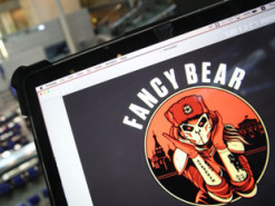 Как российские хакеры помогли Берлину и Вашингтону в борьбе с Москвой