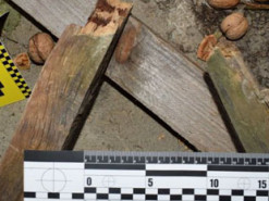 Бив кулаками та дерев'яним бруском: під Вінницею чоловік позбавив життя рідну матір