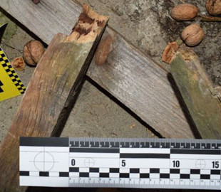 Бив кулаками та дерев'яним бруском: під Вінницею чоловік позбавив життя рідну матір