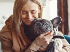 В Україні створили ШІ-сервіс для пошуку тварин: як працює PetRadar і кому він корисний