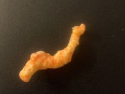 На eBay за $850 тысяч продают чипс, похожий на Лох-несское чудовище