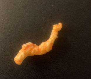 На eBay за $850 тысяч продают чипс, похожий на Лох-несское чудовище