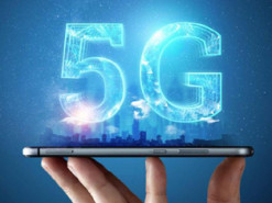 Ученые проверили влияние 5G на развитие эмбрионов рыб