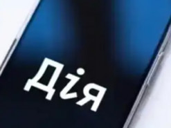 На пропускних пунктах України обмежили використання "Дії": що зміниться при перетині кордону