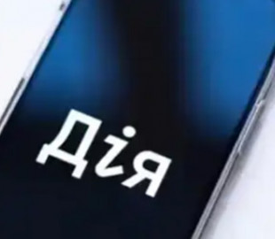 На пропускних пунктах України обмежили використання "Дії": що зміниться при перетині кордону