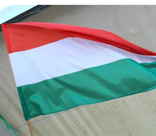 Влада Угорщини ініціювала справу проти опозиційного журналіста за "шпигунство"