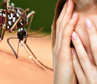 Як позбутися бліх, мошок, молі та інших комах у квартирі