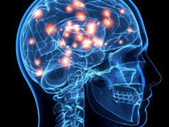 Чем опасен Wi-Fi роутер и почему его стоит отключать перед сном?