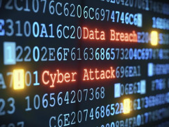 Хакеры закодировали данные на сервере сети «Рубин» и потребовали выкуп