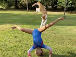 Рыжий кот вмешался в выступление маленькой гимнастки и стал звездой Сети