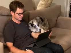 Парень показал главный минус удаленки с домашними животными