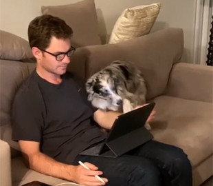 Парень показал главный минус удаленки с домашними животными