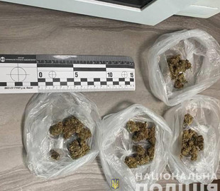 Полицейские Киева изъяли у наркоторговцев товар на сумму около миллиона гривен