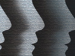 Искусственный интеллект нашел неизвестного ранее предка человека