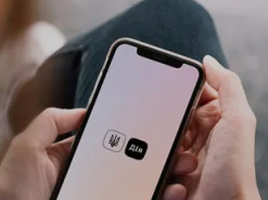 "ФОПам" третьей группы разрешили подавать декларацию в Дії: как это сделать