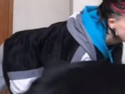 Собака помешала танцу хозяйки и развеселила интернет