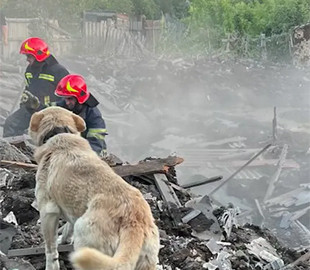 Пес ждет хозяев возле разрушенного дома в Константиновке: в сети показали трогательные фото