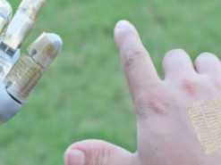 Инженеры создали электронный «пластырь» для управления роботами