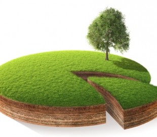 Полиция: госрегистратор за один день через интернет незаконно переоформил 39 земельных участков 