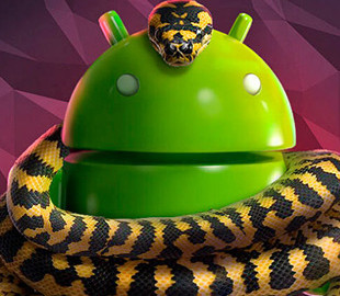 Четверть Android-смартфонов заражена неудаляемым трояном