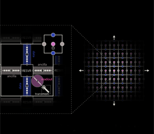 «Кошачьи» кубиты сделали квантовый компьютер более отказоустойчивым