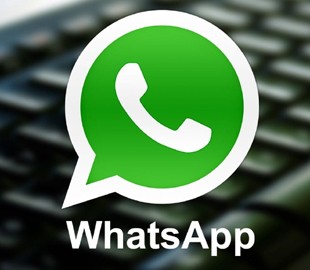 Новый WhatsApp умеет скачивать всю личную информацию