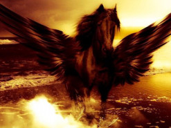 Эксперты запустили платформу, отображающую распространение шпионского ПО Pegasus