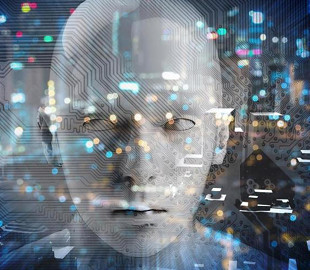 Искусственный интеллект поможет исследователям расшифровать язык животных