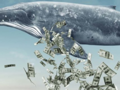 Три причины, по которым доминированию Биткоин-китов вскоре придет конец