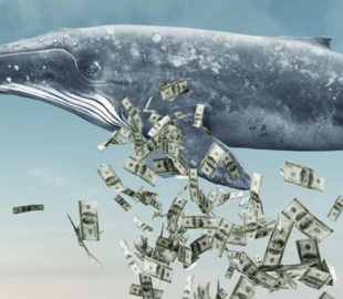 Три причины, по которым доминированию Биткоин-китов вскоре придет конец