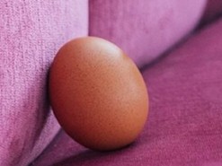 Instagram-яйцо не только трескается, но принимает душ и любуется собой в зеркале
