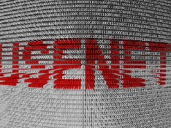 Более 2 млн самых старых постов в интернете выложили в открытый доступ