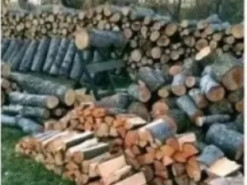 У Стрижавській колонії викрили засудженого, який через фейсбук продавав неіснуючі дрова