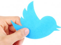 СМИ нашли экс-сотрудника Twitter, отключившего аккаунт Трампа