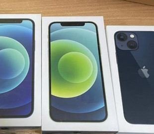 Закарпатські митники зупинили елітні «подарунки під ялинку»