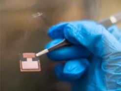 Сонячні панелі будуть кращими і дешевшими: вчені придумали, як усунути головні недоліки