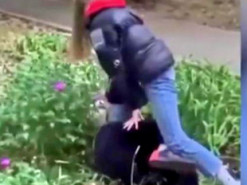 В Черноморске школьницы снимали на видео избиение одноклассницы